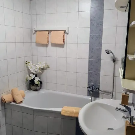 Apartment Bachschneider Apartments - By Mynests *
